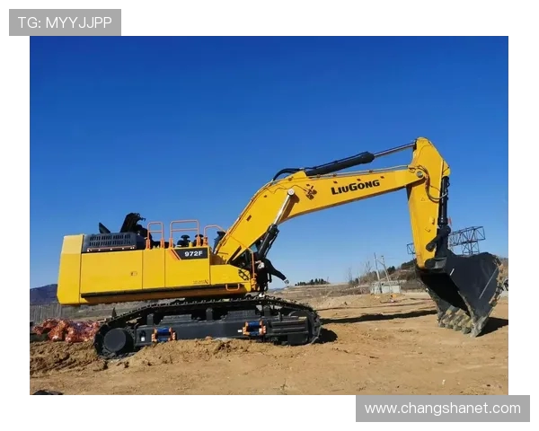 挖掘机品牌：柳工全能表现